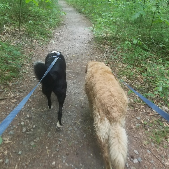 Meet your Posher, Kim - Picture 4 of 6